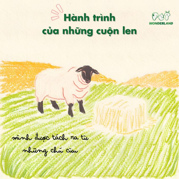 Ấn phẩm thiết kế