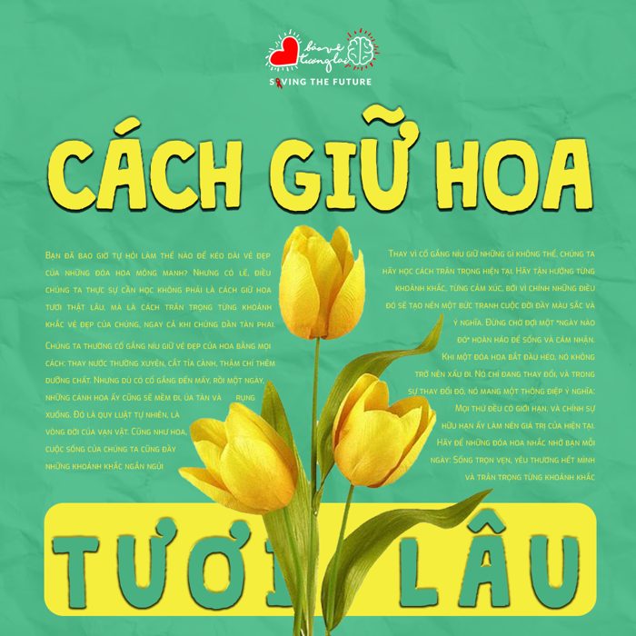 Ấn phẩm thiết kế