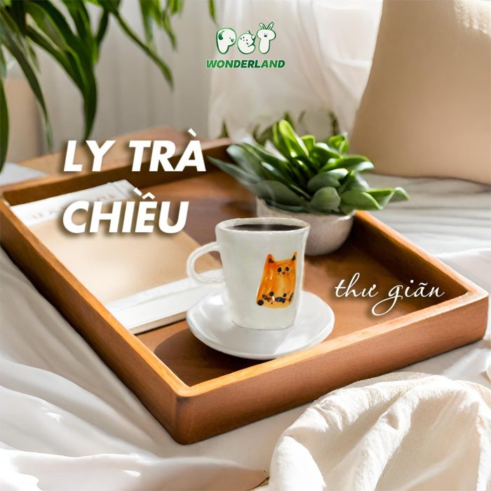 Ấn phẩm thiết kế