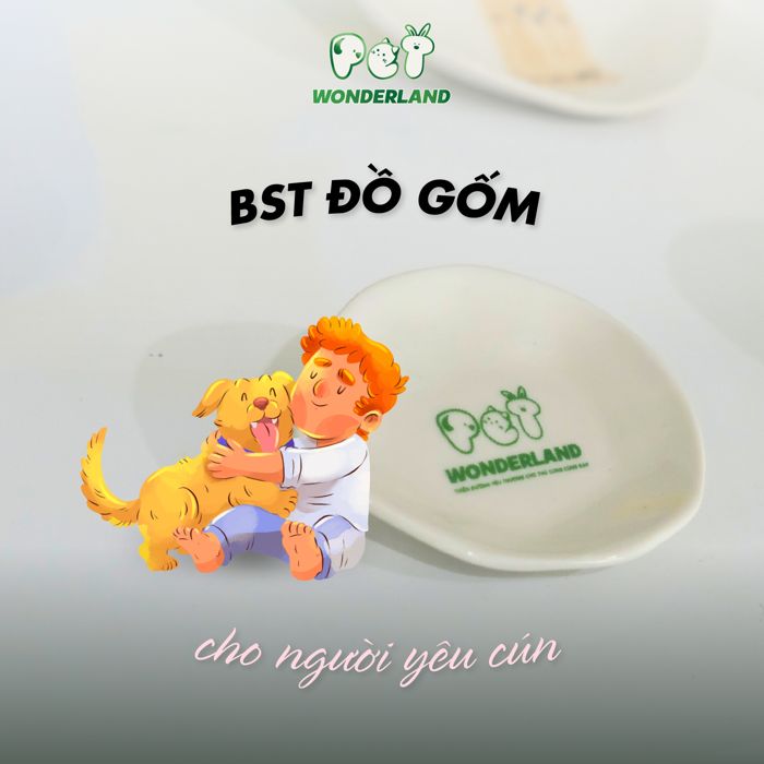 Ấn phẩm thiết kế