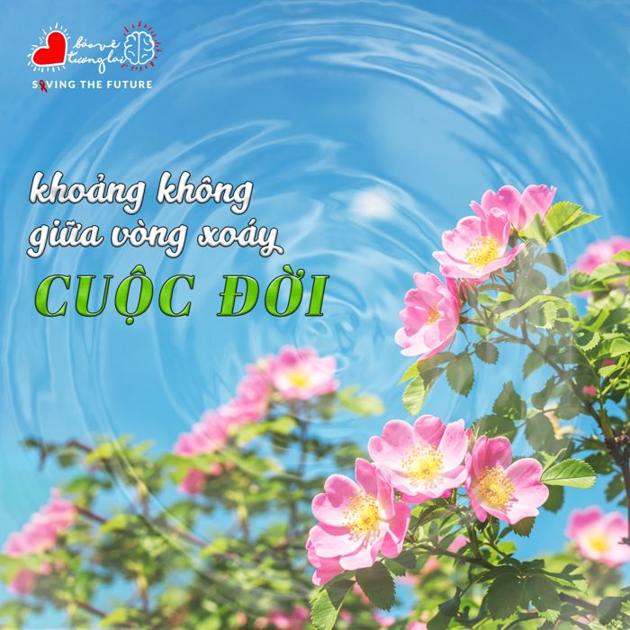 Ấn phẩm thiết kế