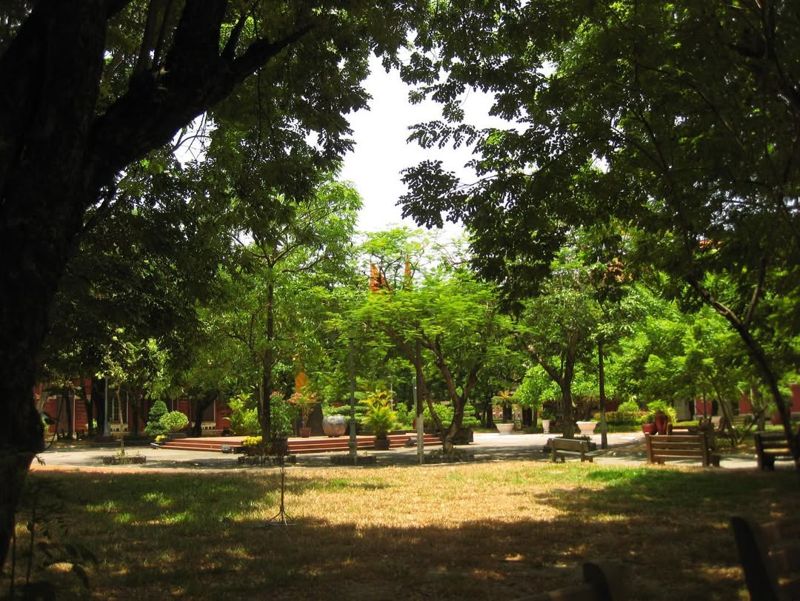 Ảnh do mình chụp
